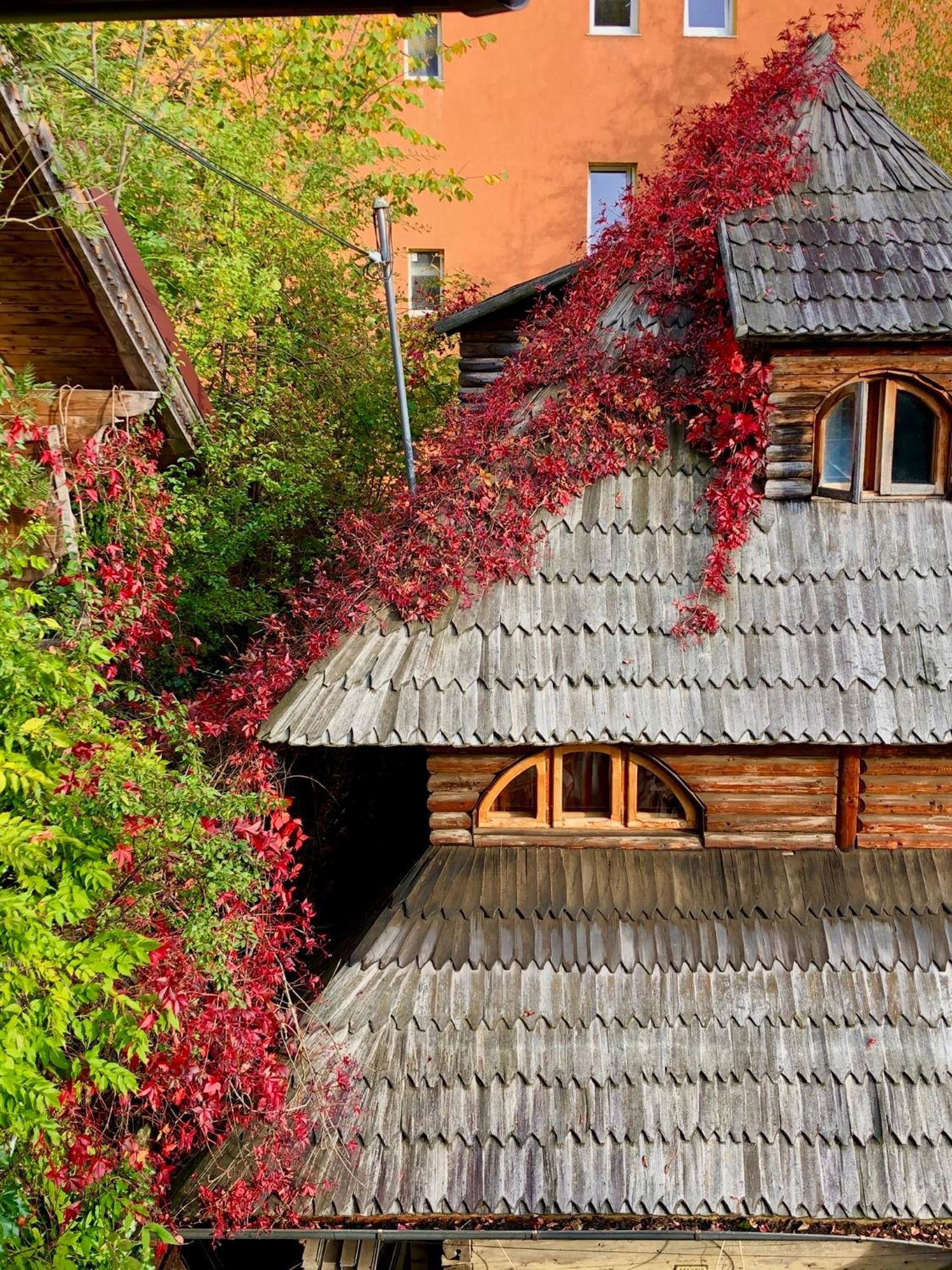 Casa Ieud - Catun Villa Sinaia Exteriör bild